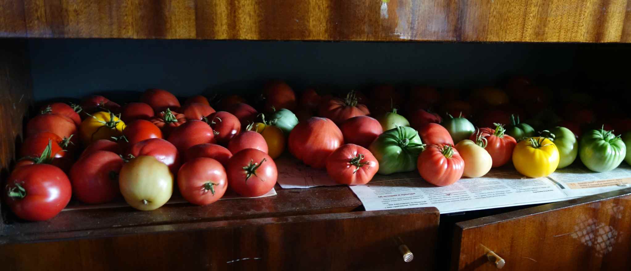Сорта помидоров с фото и описанием