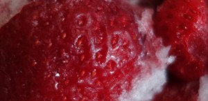 ягода клубники из морозилки
